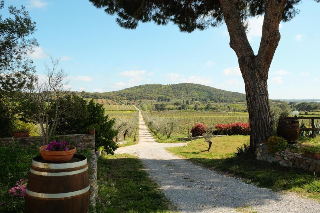 Agriturismo Biologico Bulichella Suvereto Ngoại thất bức ảnh