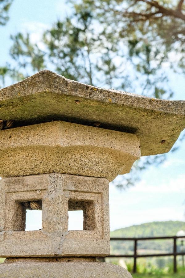 Agriturismo Biologico Bulichella Suvereto Ngoại thất bức ảnh